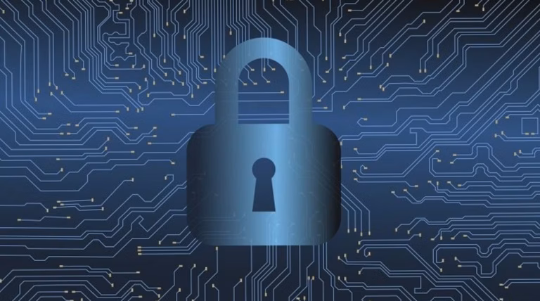 Cybersécurité : découvrez le « bug bounty », le dispositif innovant que l&rsquo;État souhaite instaurer pour renforcer la sécurité numérique